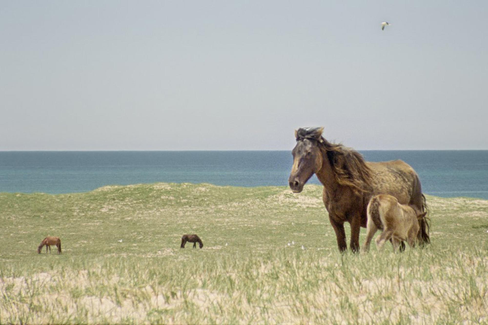 Geographies of solitude